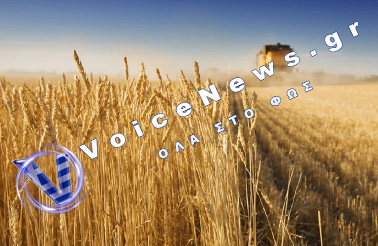Οι εξαγωγές σιτηρών της Ουκρανίας θα μειωθούν κατά περισσότερο από το μισό αυτή τη σεζόν, μετά τις ρωσικές επιθέσεις στην Οδησσό