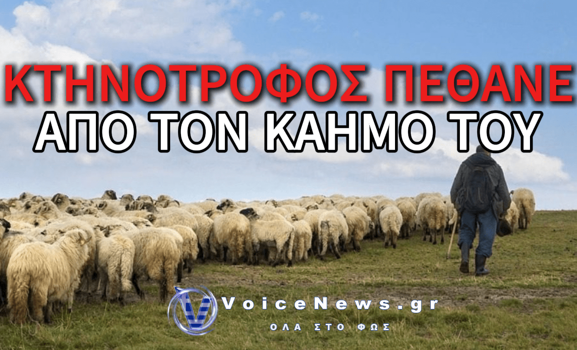 ΕΦΥΓΕ ΑΠΟ ΤΗ ΖΩΗ ΚΤΗΝΟΤΡΟΦΟΣ ΣΤΗ ΛΕΣΒΟ ΠΟΥ ΤΟΥ ΕΣΦΑΞΑΝ ΤΟ ΚΟΠΑΔΙ ΛΟΓΩ ΑΦΘΩΔΟΥΣ ΠΥΡΕΤΟΥ