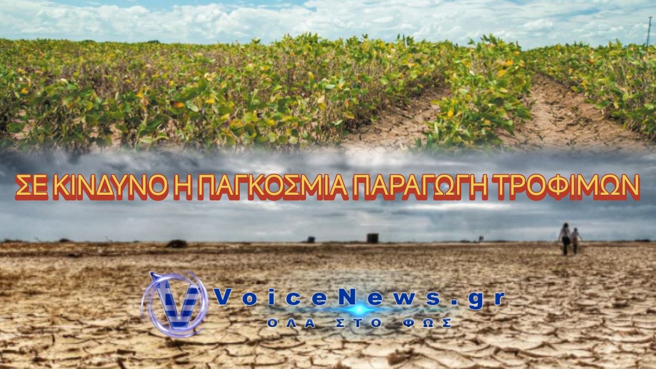 Σε κίνδυνο η παγκόσμια παραγωγή τροφίμων. Εξαιτίας της κακής διαχείρισης του εδάφους.