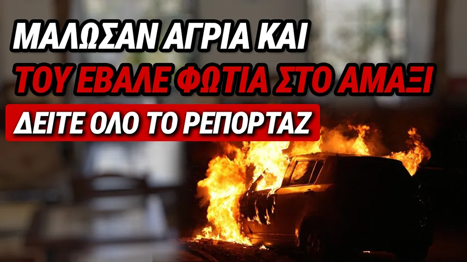 ΕΥΒΟΙΑ: ΠΩΣ ΜΙΑ ΑΓΡΙΑ ΛΟΓΟΜΑΧΙΑ ΣΕ ΚΑΦΕΝΕΙΟ ΚΑΤΕΛΗΞΕ ΣΕ ΕΜΠΡΗΣΜΟ – ΤΟ ΠΑΡΑΣΚΗΝΙΟ