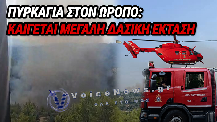 Ωρωπός: Μεγάλη πυρκαγιά τώρα σε αγροτοδασική έκταση στο Μαρκόπουλο – Ήχησε το 112, δείτε βίντεο