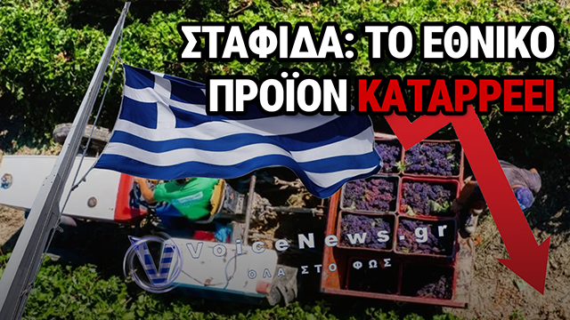 Ο ΜΑΥΡΟΣ «ΧΡΥΣΟΣ» ΠΟΥ ΕΓΙΝΕ ΕΦΙΑΛΤΗΣ: Η ΙΣΤΟΡΙΑ ΤΗΣ ΣΤΑΦΙΔΑΣ ΠΟΥ ΚΑΘΟΡΙΣΕ ΤΗΝ ΤΥΧΗ ΜΙΑΣ ΟΛΟΚΛΗΡΗΣ ΧΩΡΑΣ