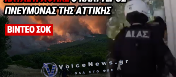 ΔΕΙΤΕ ΒΙΝΤΕΟ ΑΠΟ ΤΙΣ ΠΟΡΤΑ ΣΕ ΠΟΡΤΑ ΕΚΚΕΝΩΣΕΙΣ ΤΗΣ ΕΛ.ΑΣ. ΣΕ ΠΟΡΤΟ ΓΕΡΜΕΝΟ ΚΑΙ ΨΑΘΑ: ΣΤΑΧΤΗ ΣΠΙΤΙΑ, ΔΑΣΗ ΚΑΙ ΚΑΛΛΙΕΡΓΕΙΕΣ
