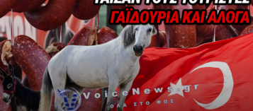 ΣΟΚ ΣΤΗΝ ΤΟΥΡΚΙΑ: ΚΡΕΑΣ ΑΛΟΓΟΥ ΚΑΙ ΓΑΙΔΑΡΟΥ ΣΕ ΣΟΥΤΖΟΥΚΙΑ, ΛΑΧΜΑΤΖΟΥΝ ΚΑΙ STREET FOOD – ΤΙ ΑΠΟΔΕΙΧΘΗΚΕ ΑΠΟ ΤΟΥΣ ΕΛΕΓΧΟΥΣ