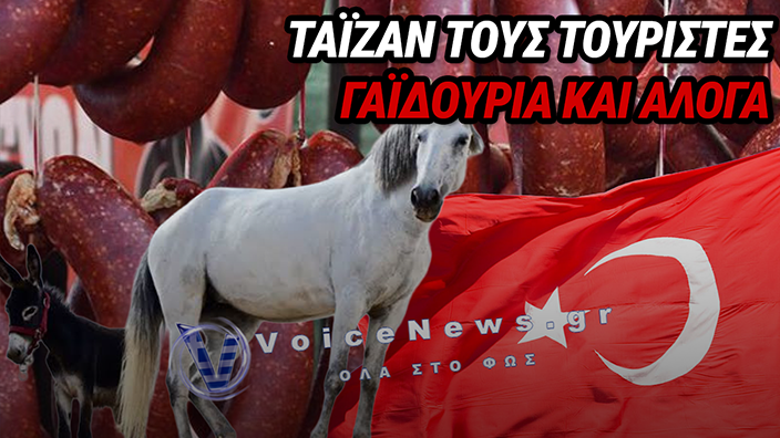 ΣΟΚ ΣΤΗΝ ΤΟΥΡΚΙΑ: ΚΡΕΑΣ ΑΛΟΓΟΥ ΚΑΙ ΓΑΙΔΑΡΟΥ ΣΕ ΣΟΥΤΖΟΥΚΙΑ, ΛΑΧΜΑΤΖΟΥΝ ΚΑΙ STREET FOOD – ΤΙ ΑΠΟΔΕΙΧΘΗΚΕ ΑΠΟ ΤΟΥΣ ΕΛΕΓΧΟΥΣ