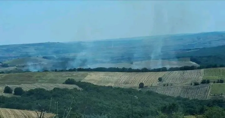 Συναγερμός στην Ορεστιάδα: Πυρκαγιά τώρα στα Κόμαρα – Ισχυρές δυνάμεις της Πυροσβεστικής στο σημείο