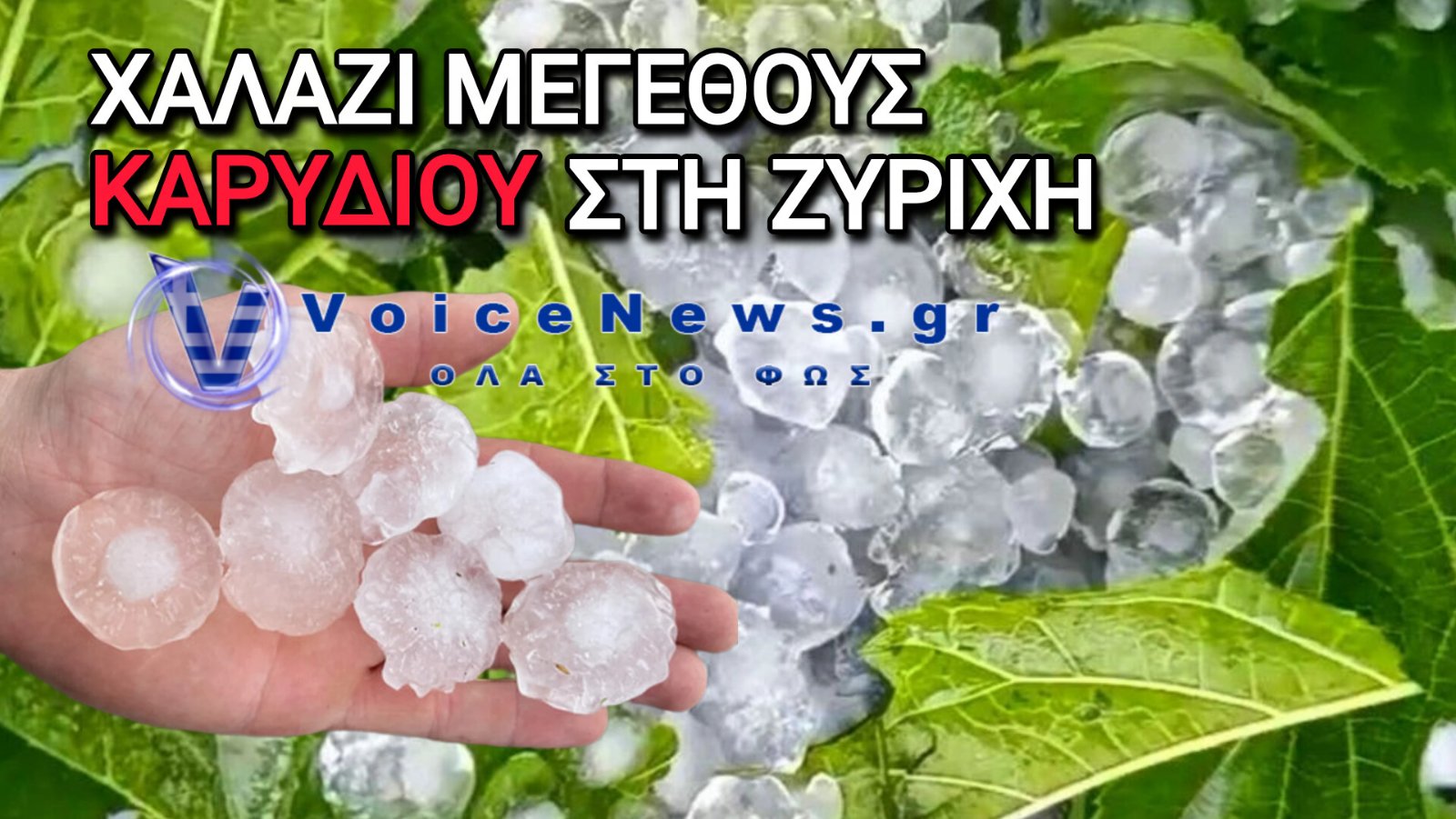 Χαλάζι σε μέγεθος καρυδιού: Τραυματίστηκαν 40 άτομα στη Ζυρίχη – Πλήγμα στον καθεδρικό της Κρεμόνας