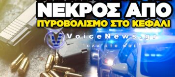 ΑΝΔΡΑΣ ΕΝΤΟΠΙΣΤΗΚΕ ΠΥΡΟΒΟΛΗΜΕΝΟΣ ΚΑΤΩ ΑΠΟ ΤΟ ΑΥΤΟΚΙΝΗΤΟ ΤΟΥ ΣΤΗ ΛΥΚΟΒΡΥΣΗ