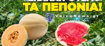 ΕΚΛΕΨΑΝ 5 ΤΟΝΟΥΣ ΠΕΠΟΝΙΑ ΛΙΓΟ ΠΡΙΝ ΤΗ ΣΥΓΚΟΜΙΔΗ ΣΤΗ ΡΟΔΟΠΗ