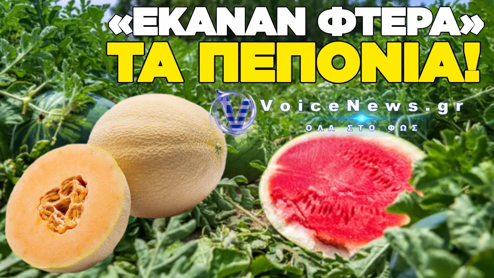 ΕΚΛΕΨΑΝ 5 ΤΟΝΟΥΣ ΠΕΠΟΝΙΑ ΛΙΓΟ ΠΡΙΝ ΤΗ ΣΥΓΚΟΜΙΔΗ ΣΤΗ ΡΟΔΟΠΗ