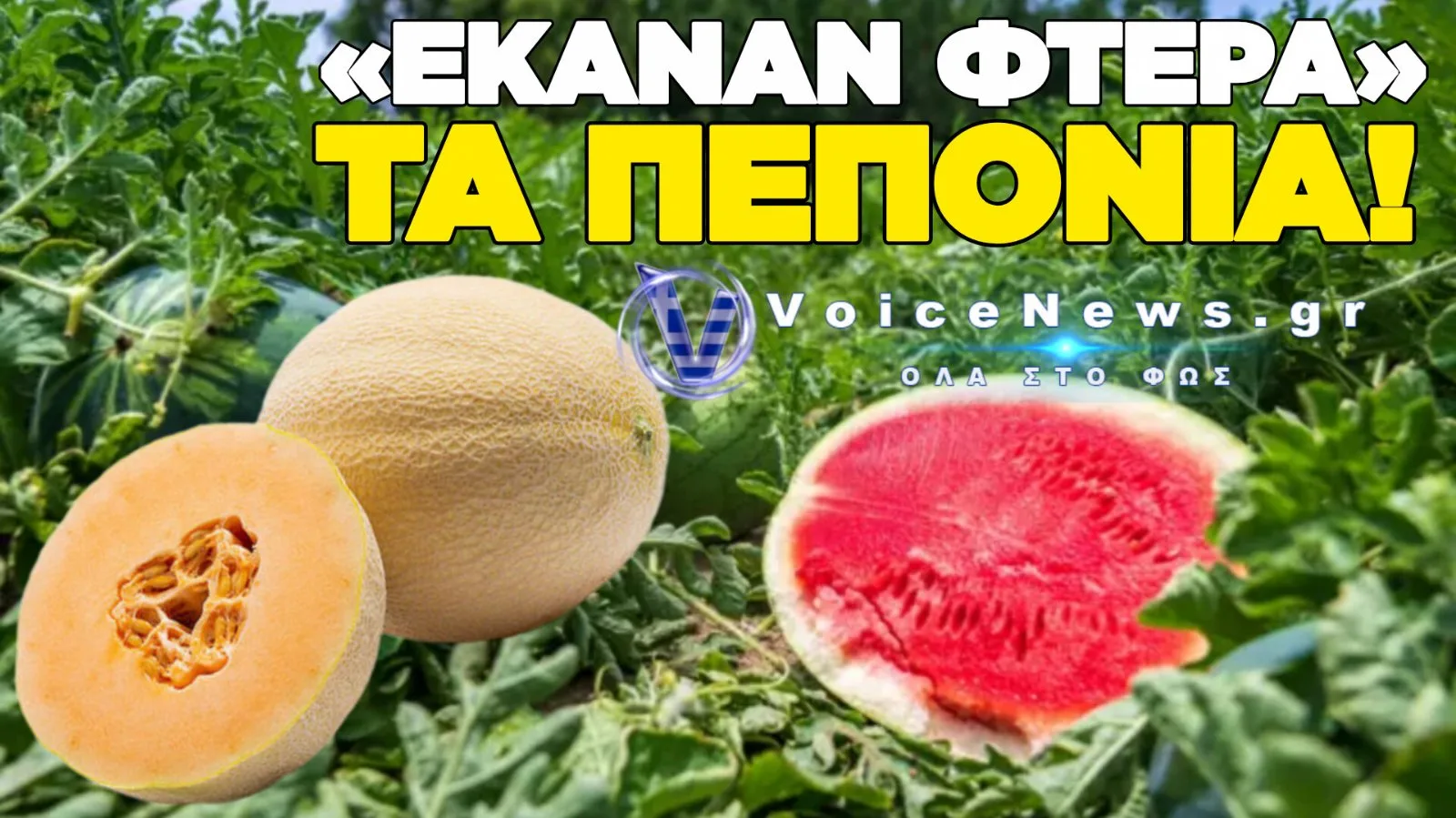 ΕΚΛΕΨΑΝ 5 ΤΟΝΟΥΣ ΠΕΠΟΝΙΑ ΛΙΓΟ ΠΡΙΝ ΤΗ ΣΥΓΚΟΜΙΔΗ ΣΤΗ ΡΟΔΟΠΗ