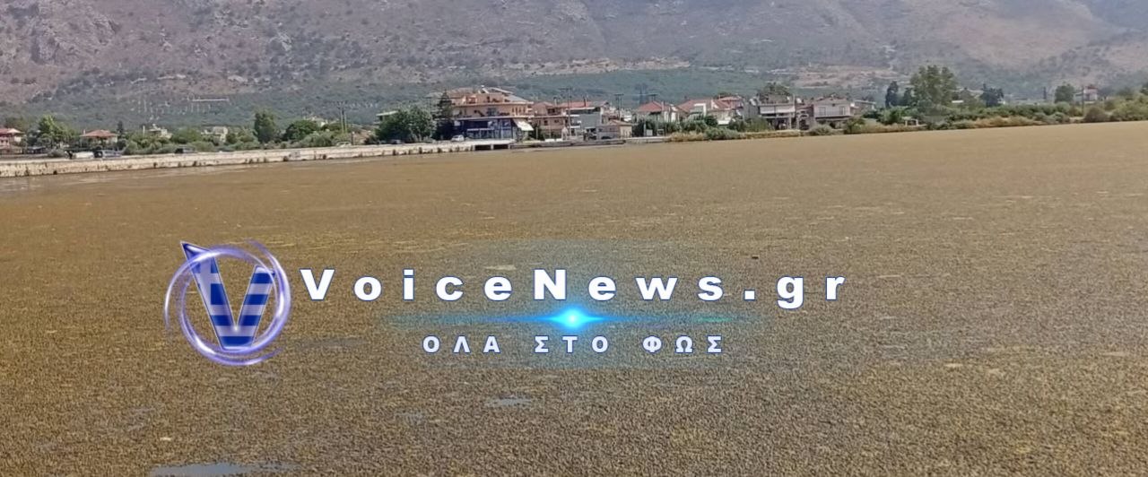 Οικολογική καταστροφή στη λιμνοθάλασσα Μεσολογγίου!