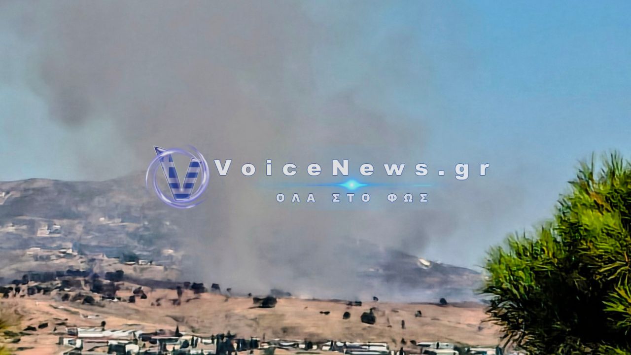 Παπούα Νέα Γουινέα: Κροκόδειλος επιτέθηκε σε εργαζόμενο πάρκου – Πέθανε μία ημέρα αργότερα