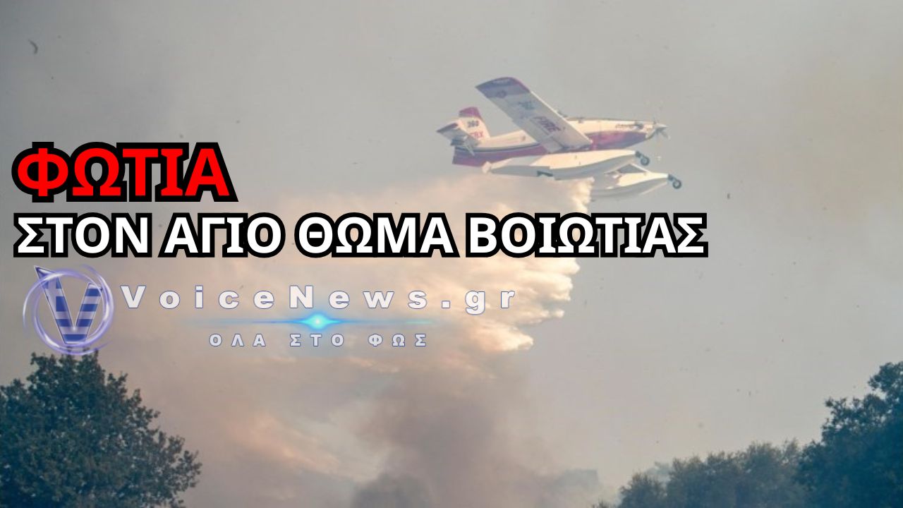 ΦΩΤΙΑ ΣΤΟΝ ΑΓΙΟ ΘΩΜΑ ΒΟΙΩΤΙΑΣ – ΣΗΚΩΘΗΚΑΝ ΕΝΑΕΡΙΑ ΜΕΣΑ