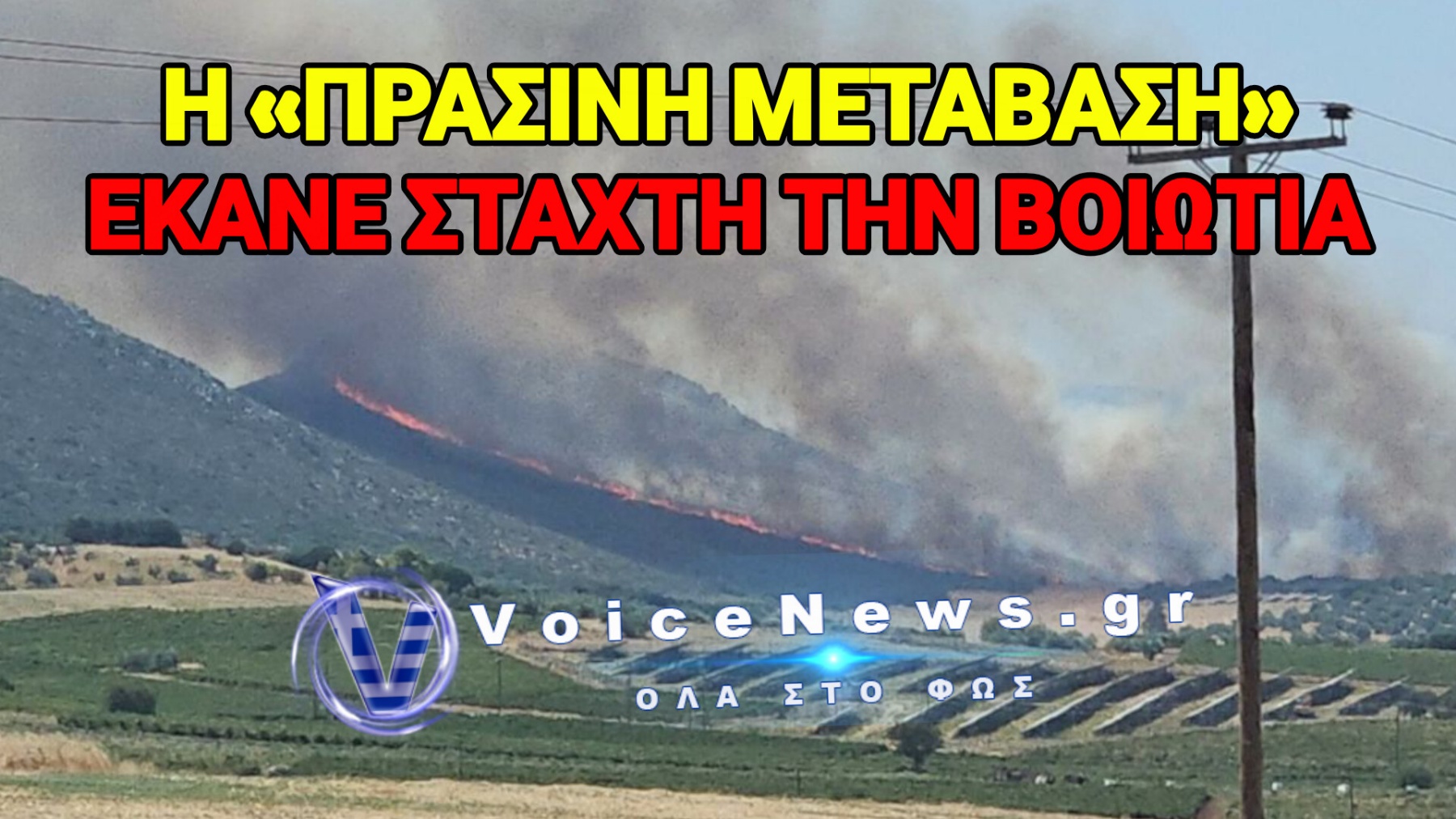 ΕΚΑΨΑΝ 3.000 ΣΤΡΕΜΜΑΤΑ ΓΙΑ ΝΑ «ΚΑΘΑΡΙΣΟΥΝ» ΕΝΑ ΦΩΤΟΒΟΛΤΑΪΚΟ!