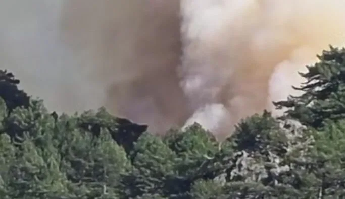 Κόνιτσα: Μεγάλη αναζωπύρωση τώρα της φωτιάς, ξανά – Δείτε βίντεο