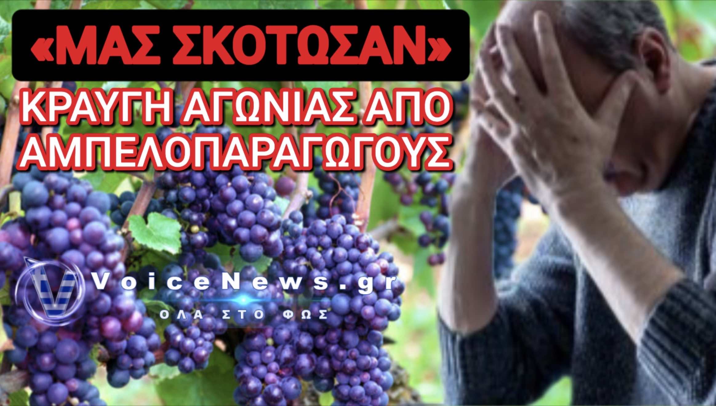 ΑΠΟΛΥΤΗ ΚΑΤΑΣΤΡΟΦΗ ΣΤΗΝ ΚΟΡΙΝΘΟ! ΚΡΑΥΓΗ ΑΓΩΝΙΑΣ ΑΠΟ ΑΜΠΕΛΟΠΑΡΑΓΩΓΟΥΣ