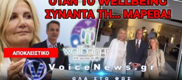 ΤΙ ΣΥΝΔΕΕΙ ΤΗ ΜΑΡΕΒΑ ΜΗΤΣΟΤΑΚΗ ΜΕ ΤΗΝ WELLBEINGR ΚΑΙ ΤΑ €120.000 ΤΟΥ ΔΗΜΟΣΙΟΥ;