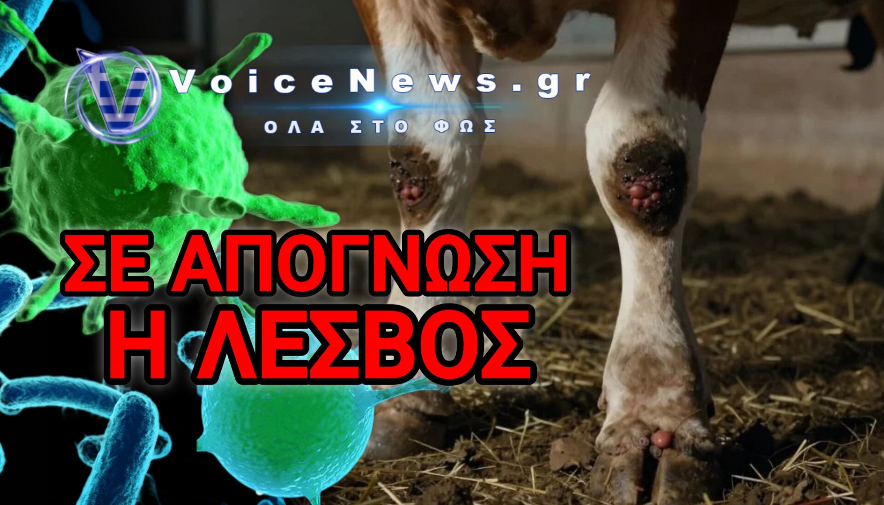 ΣΦΑΖΟΥΝ ΤΑ ΚΟΠΑΔΙΑ ΚΑΙ ΔΕΝ ΔΙΝΟΥΝ ΛΟΓΑΡΙΑΣΜΟ ΠΟΥΘΕΝΑ!