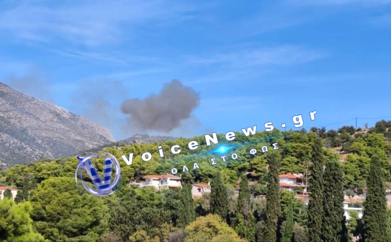 Πυρκαγιά σε χαμηλή βλάστηση στο Κορωπί.