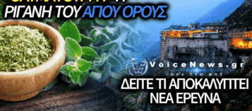 ΝΕΑ ΕΠΙΣΤΗΜΟΝΙΚΗ ΜΕΛΕΤΗ: ΙΣΧΥΡΗ ΑΝΤΙΟΞΕΙΔΩΤΙΚΗ ΔΡΑΣΗ ΣΤΗ ΡΙΓΑΝΗ ΑΓΙΟΥ ΟΡΟΥΣ – ΤΙ ΑΠΟΚΑΛΥΠΤΟΥΝ ΟΙ ΕΡΓΑΣΤΗΡΙΑΚΕΣ ΔΟΚΙΜΕΣ