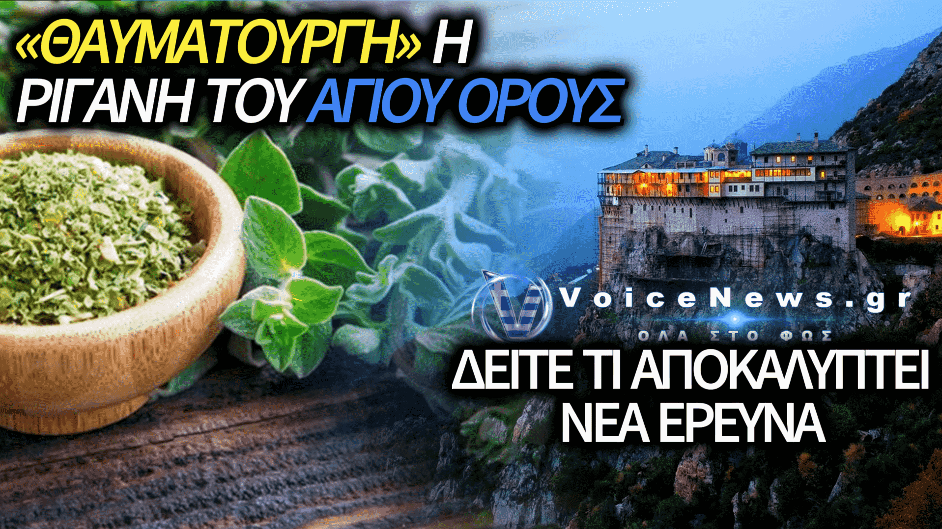 ΝΕΑ ΕΠΙΣΤΗΜΟΝΙΚΗ ΜΕΛΕΤΗ: ΙΣΧΥΡΗ ΑΝΤΙΟΞΕΙΔΩΤΙΚΗ ΔΡΑΣΗ ΣΤΗ ΡΙΓΑΝΗ ΑΓΙΟΥ ΟΡΟΥΣ – ΤΙ ΑΠΟΚΑΛΥΠΤΟΥΝ ΟΙ ΕΡΓΑΣΤΗΡΙΑΚΕΣ ΔΟΚΙΜΕΣ