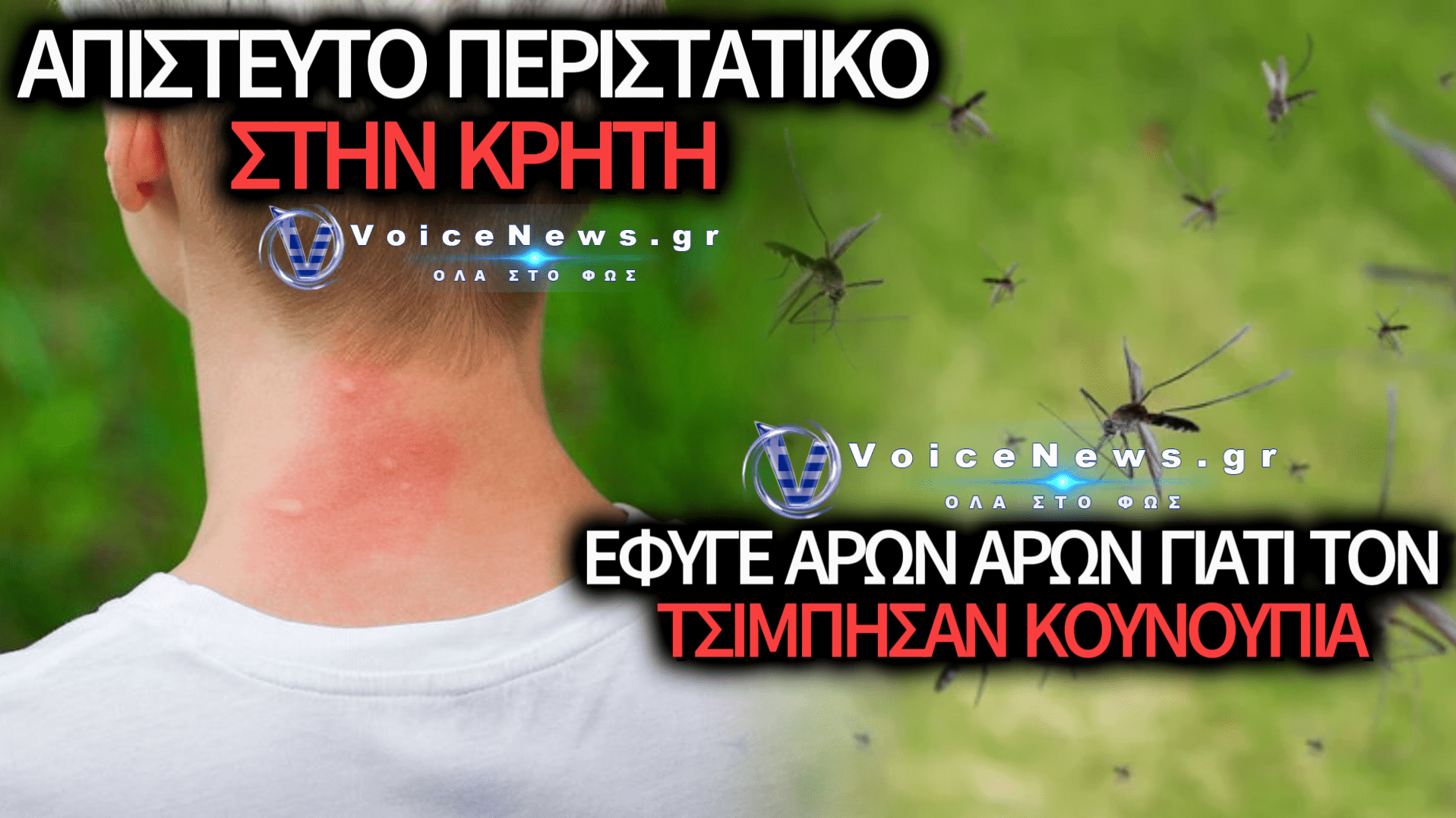 ΑΙΤΗΜΑ ΑΠΟΖΗΜΙΩΣΗΣ ΑΠΟ ΒΡΕΤΑΝΟ ΤΟΥΡΙΣΤΑ ΣΤΗΝ ΚΡΗΤΗ ΛΟΓΩ ΤΣΙΜΠΗΜΑΤΩΝ ΑΠΟ ΚΟΥΝΟΥΠΙΑ
