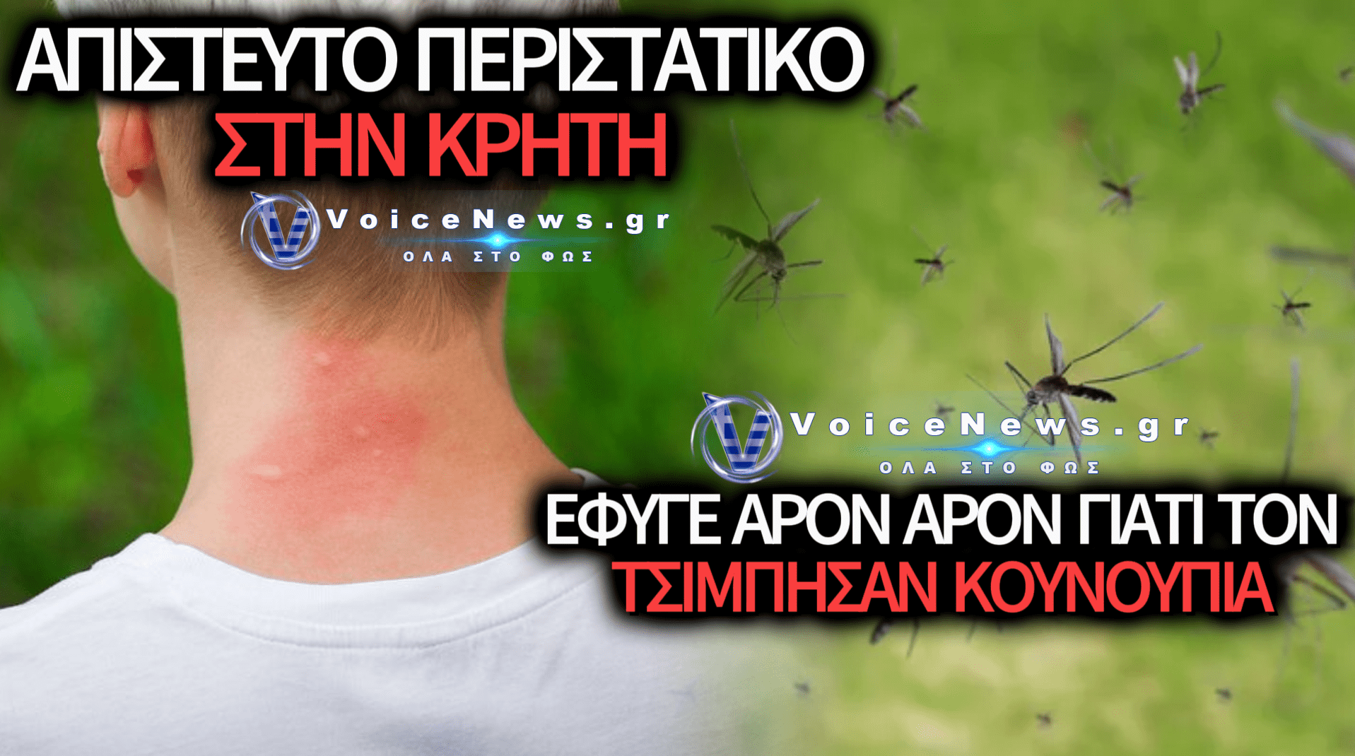 ΑΙΤΗΜΑ ΑΠΟΖΗΜΙΩΣΗΣ ΑΠΟ ΒΡΕΤΑΝΟ ΤΟΥΡΙΣΤΑ ΣΤΗΝ ΚΡΗΤΗ ΛΟΓΩ ΤΣΙΜΠΗΜΑΤΩΝ ΑΠΟ ΚΟΥΝΟΥΠΙΑ