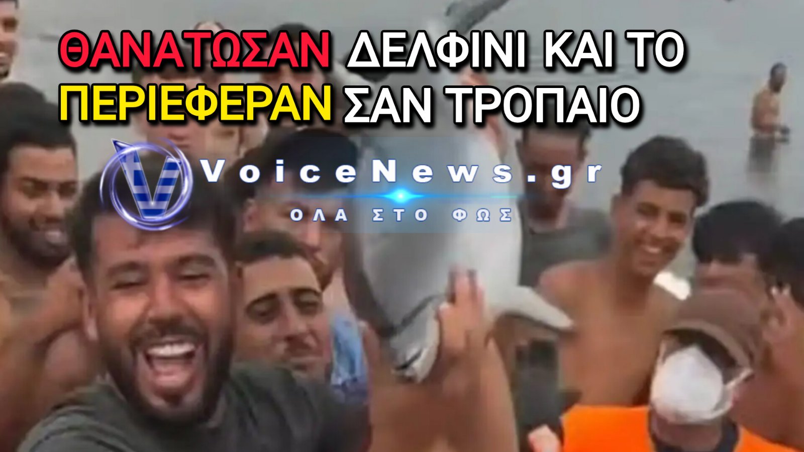 Θέουτα: Θανάτωσαν Δελφίνι και το Επιδείκνυαν στην Παραλία
