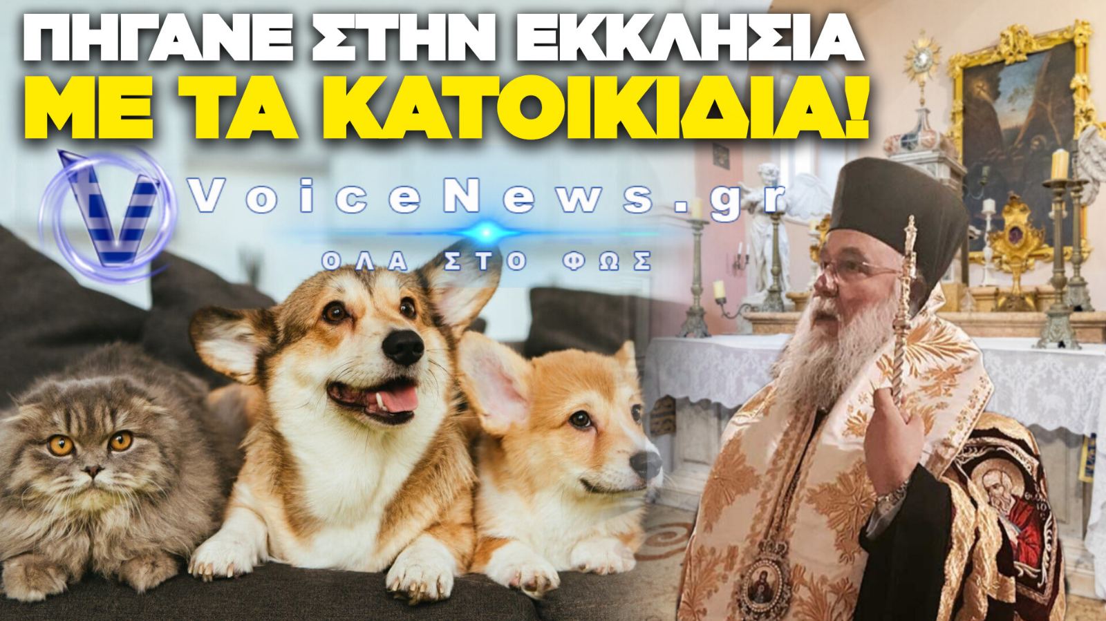 ΣΕΒΑΣΜΙΩΤΑΤΕ ΚΕΡΚΥΡΑΣ ΦΕΡΕ ΣΤΑ ΣΥΓΚΑΛΑ ΤΟΥΣ ΑΣΟΒΑΡΟΥΣ! ΠΗΓΑΝ ΣΕ ΚΑΘΟΛΙΚΗ ΕΚΚΛΗΣΙΑ ΓΙΑ ΝΑ ΠΑΡΟΥΝ ΕΥΛΟΓΙΑ ΤΑ ΚΑΤΟΙΚΙΔΙΑ ΤΟΥΣ