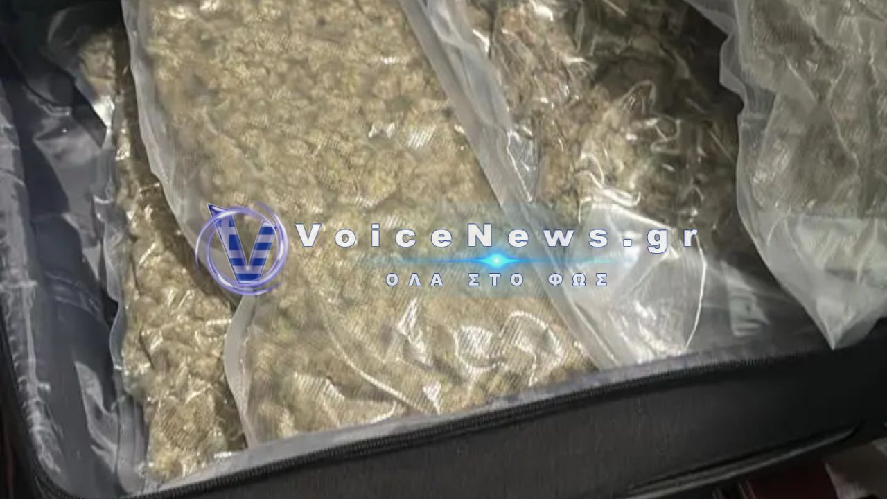 Εξάρχεια: Πέντε συλλήψεις για διακίνηση κάνναβης – Εντοπίστηκαν 126 δενδρύλλια και πάνω από 9,5 κιλά