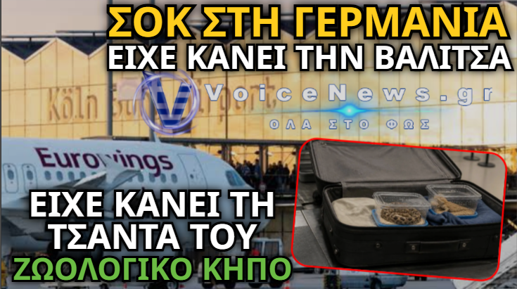 ΑΕΡΟΔΡΟΜΙΟ ΚΟΛΩΝΙΑΣ: 45ΧΡΟΝΟΣ ΕΚΡΥΒΕ ΣΤΗ ΒΑΛΙΤΣΑ ΤΟΥ 37 ΔΗΛΗΤΗΡΙΩΔΗ ΦΙΔΙΑ ΚΑΙ 55 ΣΑΥΡΕΣ