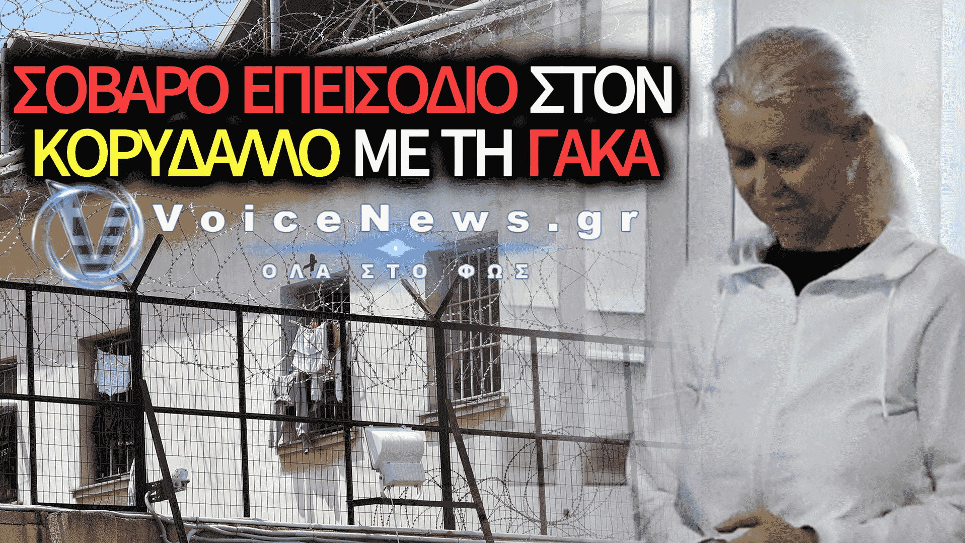 ΑΓΡΙΟΣ ΚΑΒΓΑΣ ΣΤΟ ΚΕΛΙ ΤΗΣ ΓΑΚΑΣ ΣΤΟΝ ΚΟΡΥΔΑΛΛΟ – ΔΕΙΤΕ ΤΟΝ ΛΟΓΟ