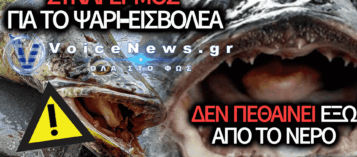 ΤΡΟΜΟΣ ΜΕ ΤΟ «ΨΑΡΙ-ΦΡΑΝΚΕΝΣΤΑΙΝ» ΠΟΥ ΒΓΑΙΝΕΙ ΣΤΗ ΣΤΕΡΙΑ ΚΑΙ ΤΡΩΕΙ ΤΑ ΠΑΝΤΑ